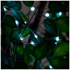 fairy-lights-10