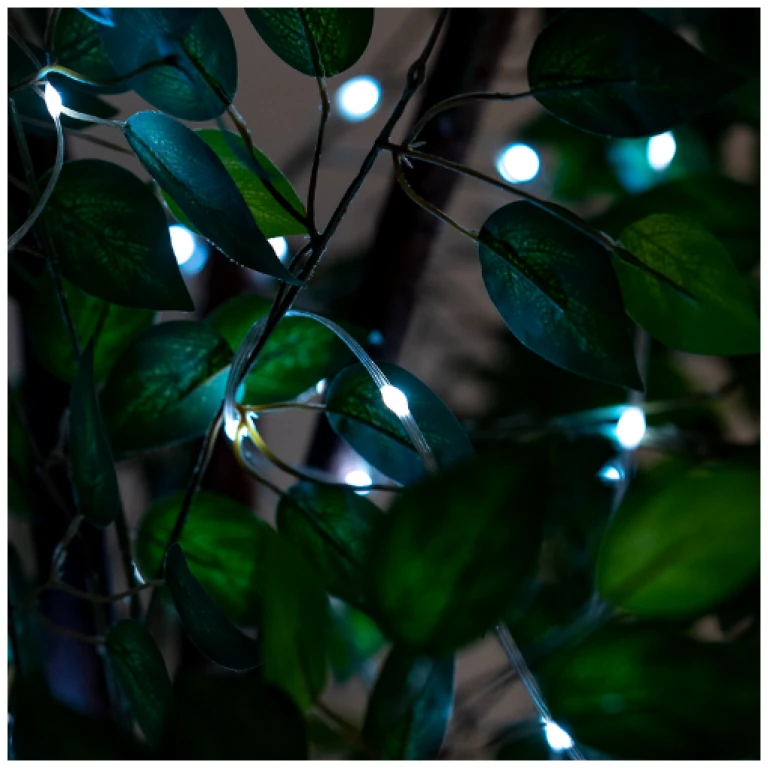 fairy-lights-10m