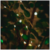fairy-lights-10m