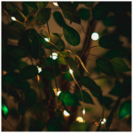 fairy-lights-10m